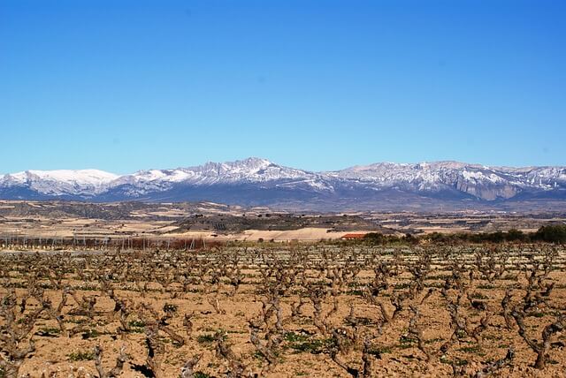 abogados La Rioja