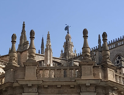 abogado Bastida-Romero & Sepúlveda