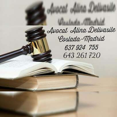 abogado AVOCAT MADRID ALINA DELIVASILE