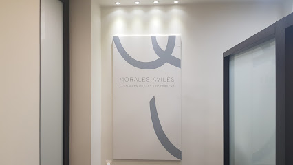 abogado MORALES AVILES – Consultores Legales y de Empresa