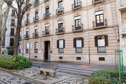 abogado Abogados y Economistas Carrera