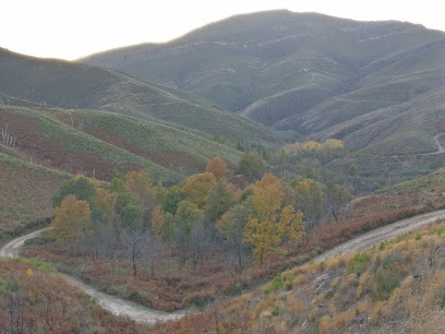 abogado Asociación De Montes Vecinales De La Provincia De Orense