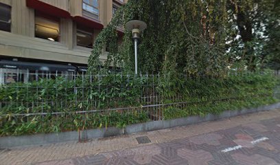 abogado LEAN Abogados